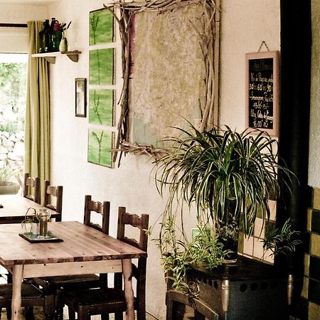 Gite De La Baume , Aux Delices Du Verdon Castellane Zewnętrze zdjęcie